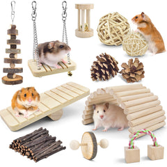 ERKOON 12-pack hamster chew toys apple wood ladder promotes natural gnawing and enrichment.