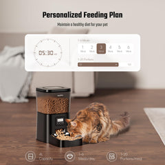 Espelho feeder timer panel in action for precise meal scheduling