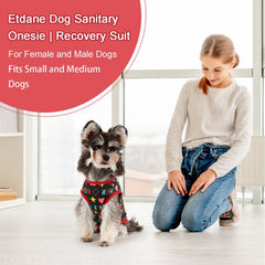 Etdane small-dog suit with back-closure shown, easy to put on and secure.