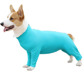 Etdane recovery suit for dogs—breathable fabric promotes comfortable wear.