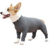 Etdane recovery suit for dogs shows breathable fabric and secure fit.