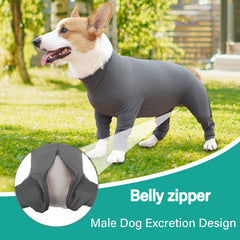 Etdane recovery suit belly zipper access aids male dogs
