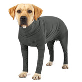 Etdane recovery suit for dogs in grey small with back zipper for easy dressing.