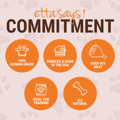 etta says! yumm-sticks pork-jerky-stick flavorful option for variety-packed snacking