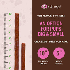 etta says Yumm Sticks closeup of real meat jerky emphasizes high-protein snack for dogs