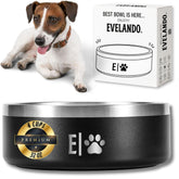 EVELANDO 32 oz dog bowl keeps water cold for pets.