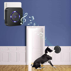 EverNary transmitter on door enabling quick button signaling for potty breaks.