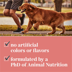 EverRoot Digestion Soft Chews pumpkin fiber ingredient spotlight for fiber support.