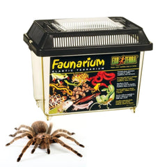 Exo Terra Faunarium small terrarium PT2255 ideal for temporary housing.
