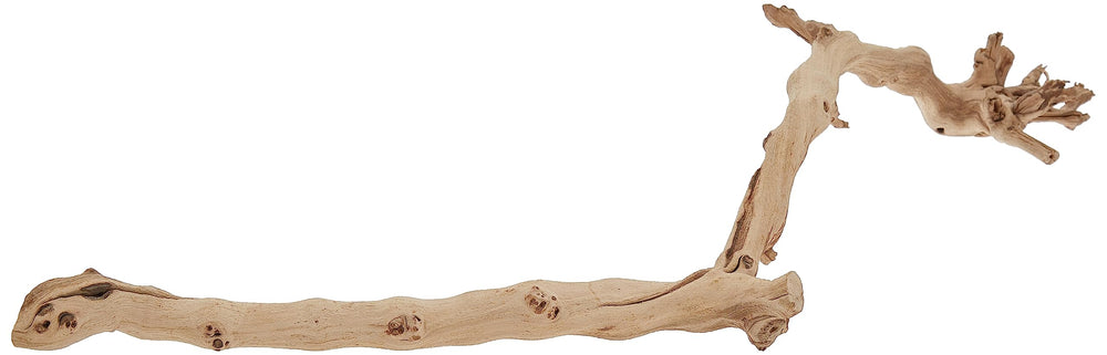 Exo Terra Forest Branch Large natural-branch for climbing enrichment in terrariums.