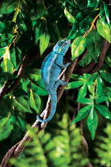 Exo Terra Jungle Vine Large Multi PT3086 in use creates a 3-D arboreal habitat.