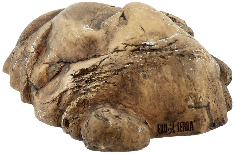Exo Terra Reptile Cave Large front view with natural texture for secure hiding.
