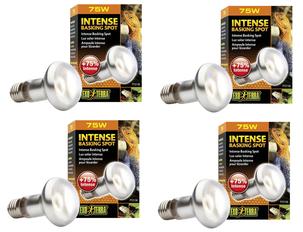 Exo Terra Sun-Glo Basking Spot Lamp 75W—focused heat beam for reptile basking
