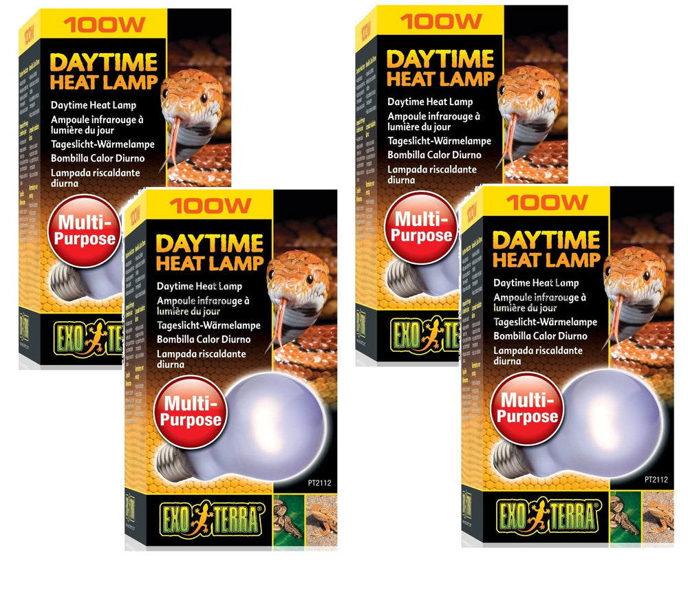 Exo Terra Sun-Glo Neodymium A21 Lamp provides broad daylight and warmth for reptiles and terrarium plants.
