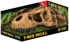 Exo Terra T-Rex Skull Terrarium Decor front view provides a natural hiding spot for reptiles.