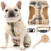 Arnés EXPAWLORER para perro pequeño con cuadros, cómodo y seguro para paseos diarios.
