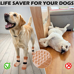 EXPAWLORER all-weather paw protection for hot summers and cold winters.