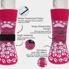 EXPAWLORER calcetines-proteccion-patitas-calor-pavimento: protege las patitas del calor.