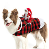 EXPAWLORER Santa costume front view on dog for festive photo op and holiday appeal