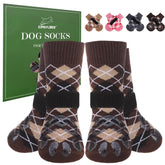 EXPAWLORER dog socks fashion-design view highlights stylish outdoor protection during walks.
