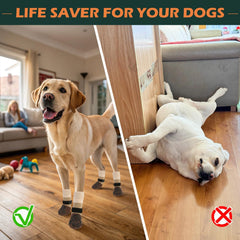 EXPAWLORER winter-ready paw socks protect paws on ice and snow
