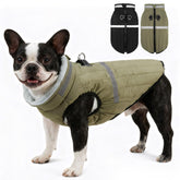 EXPAWLORER dog winter coat green front view keeps him warm during walks