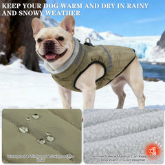 EXPAWLORER dog winter coat green side wear for daily outings