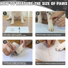 EXPAWLORER durabilidad y comodidad para caminatas diarias de perros.