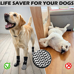 EXPAWLORER proteccion-patas-verano-perro alivia el calor del pavimento.