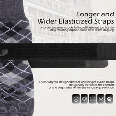 EXPAWLORER dog socks—British-style design adds fashionable protection.
