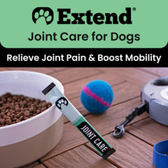Extend Joint Care beef-flavored chews—palatable option for picky eaters at mealtime.