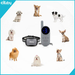 eXuby tiny shock collar blue plate adds personalization options