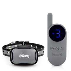 eXuby tiny shock collar gray on small dog for gentle training