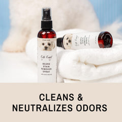 Eye Envy beard stain remover spray dog face closeup highlights stain lifting for drool and food.