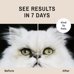 Eye Envy Tear Stain Remover Solution on wipes helps reduce staining