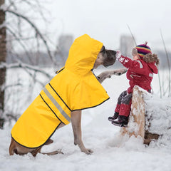 Ezierfy hooded dog rain coat with reflective belly strips for safer evening strolls.