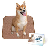 EZwhelp reusable dog pee pad waterproof top protects floors during training.