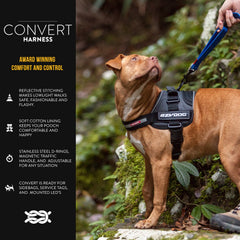 EzyDog Convert harness small charcoal back view shows reflective piping for safer night walks