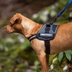 EzyDog Convert small charcoal soft cotton lining keeps dogs comfortable on long trails