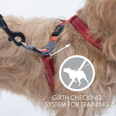 EzyDog Crosscheck back view highlights escape-proof design for confident outdoor adventures