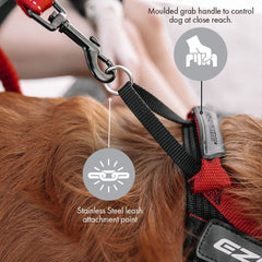 EzyDog Express harness side-buckle enables quick on-off for busy owners.