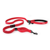 EzyDog Road Runner waist-clip enables hands-free walking for daily strolls.
