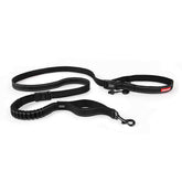 EzyDog Road Runner waist setup for hands-free walks.