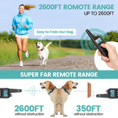 F-color training collar with IP65 waterproof rating supports rainy-day training.