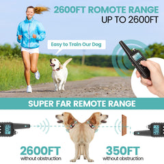F-color waterproof dog collar ready for outdoor training in rain.