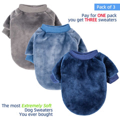 FabricCastle dog sweater pack blue on a tiny dog, adds cozy warmth and cute look