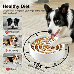 Facdiary ceramic slow-feeder bowl diet-diversity supports dry, wet, or raw diets.