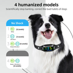 FAFAFROG bark collar IP67 waterproof design enables training by pool or rain.