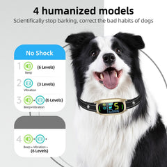 FAFAFROG display-enabled collar reveals status and power at a glance