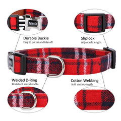 Faleela collar buckle close-up showing stainless steel hardware